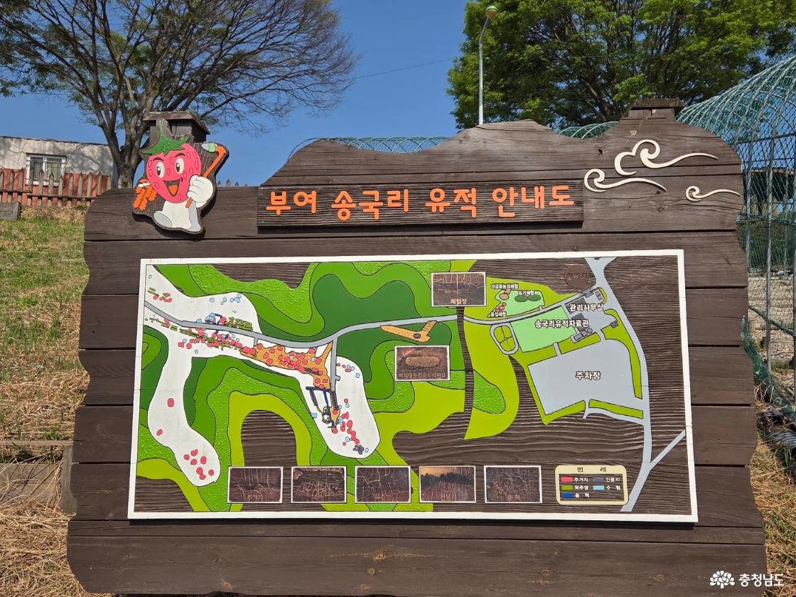 그림6