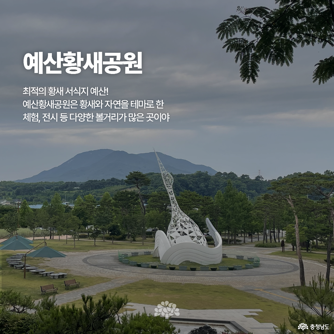 넓은 초원 위에 하얀 황새 조형물이 돋보이며, 뒤로는 푸른 산과 숲이 배경을 이루고 있습니다. 공원에는 파라솔과 벤치가 설치되어 휴식하기 좋습니다. 황새와 자연을 주제로 조성된 체험형 공원입니다.