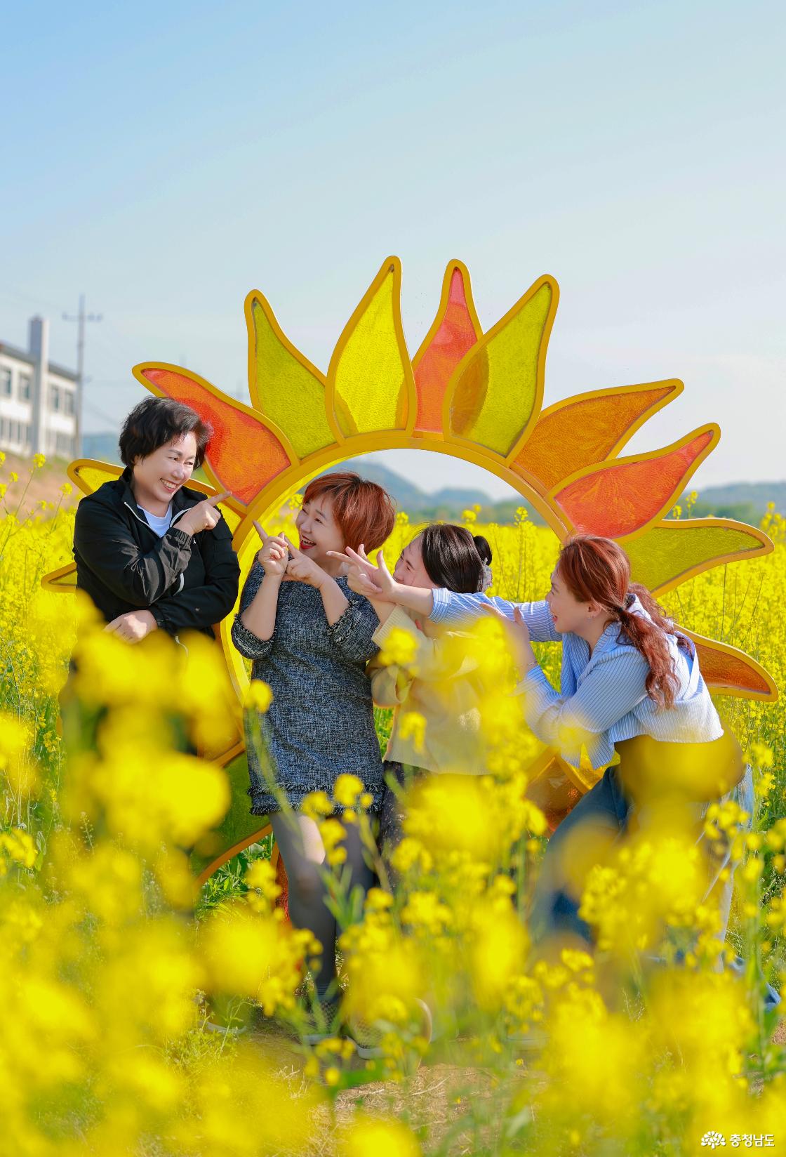 유채꽃