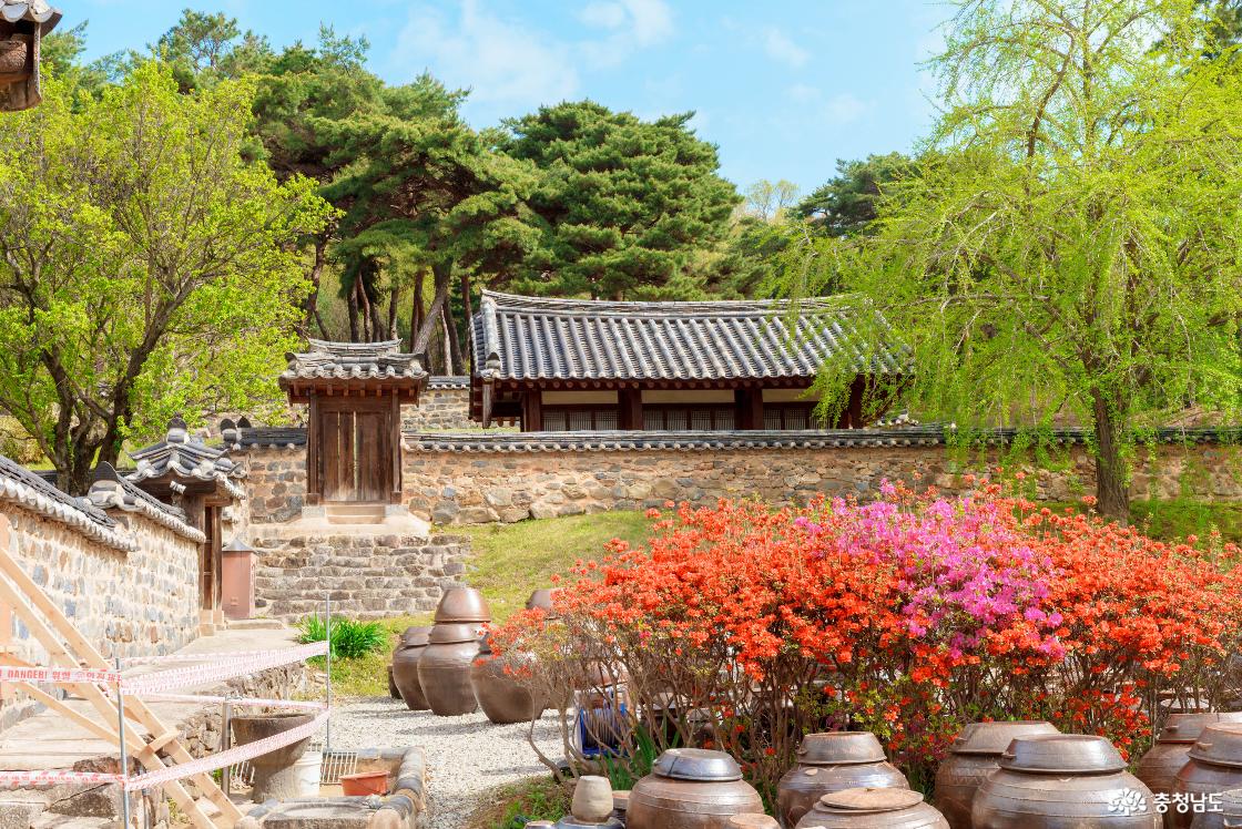 철쭉과 명재고택의 모습