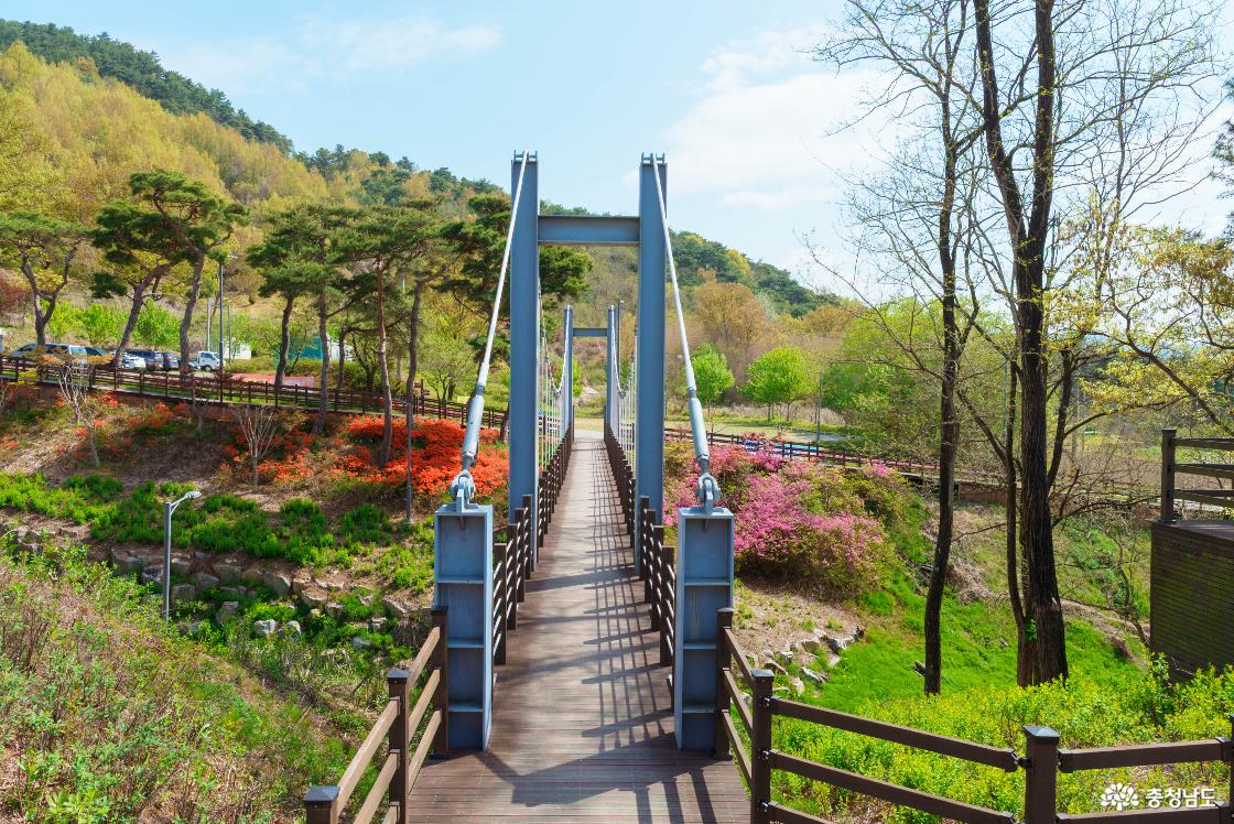 출렁다리