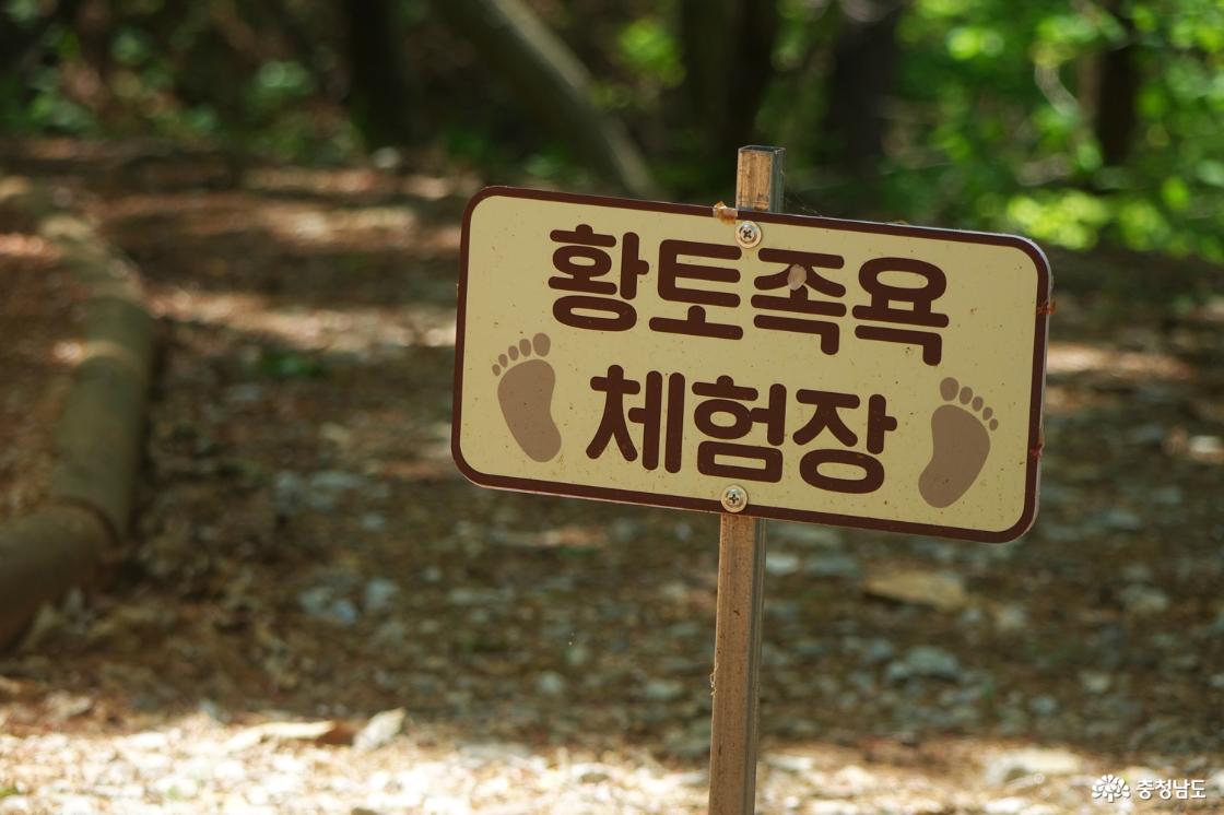 황토 족욕 체험장