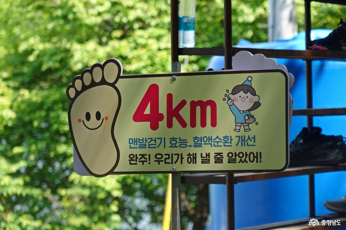 4km 완주