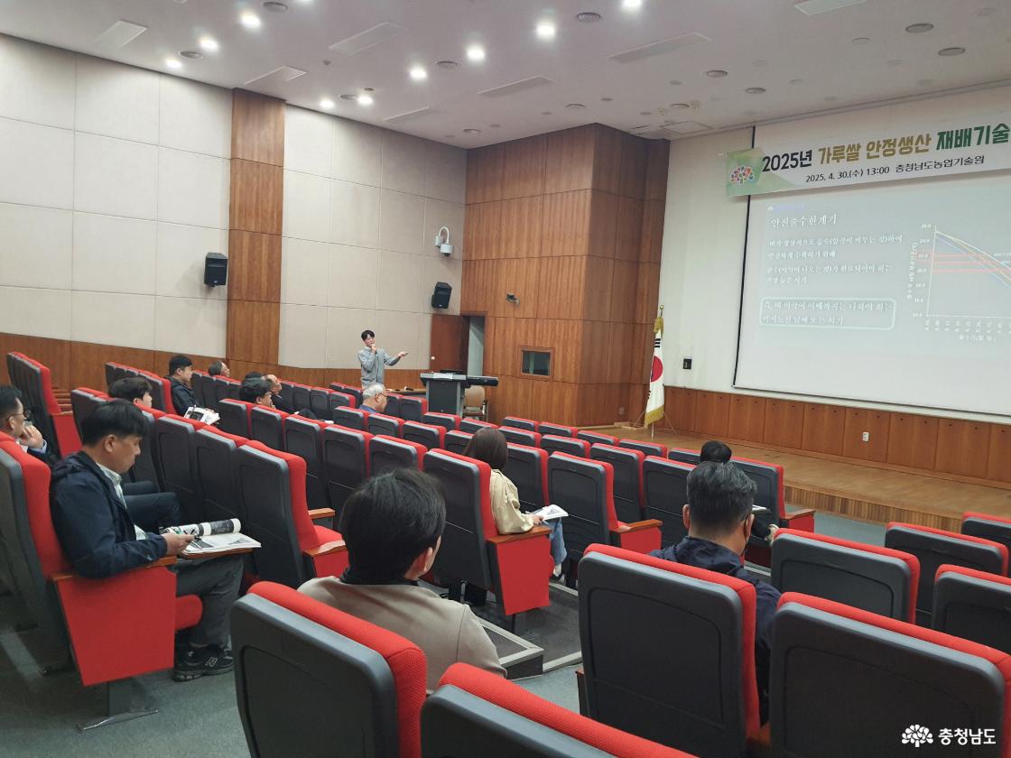 가루쌀 재배 농업인 맞춤형 기술지원