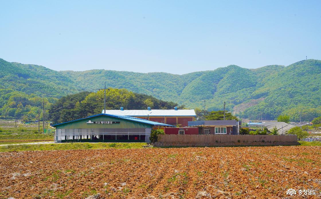 가산리 게이트볼장