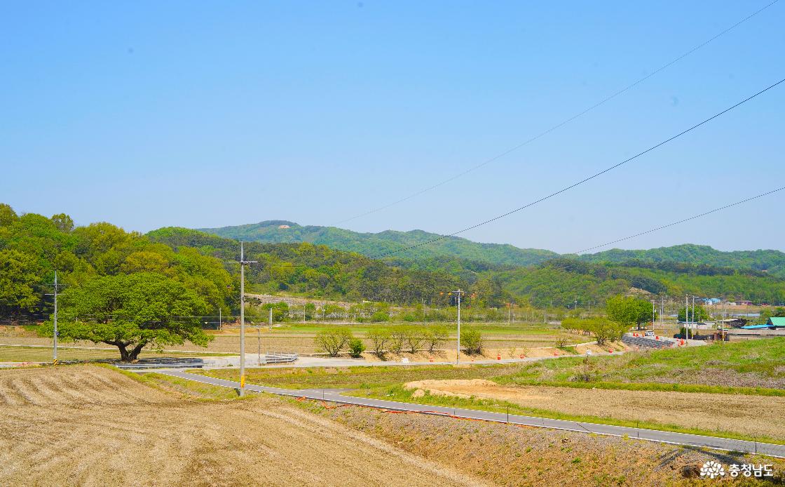 가산리 군줄길에서 바라본 가락천 일원