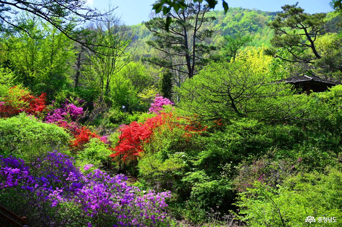 고운식물원