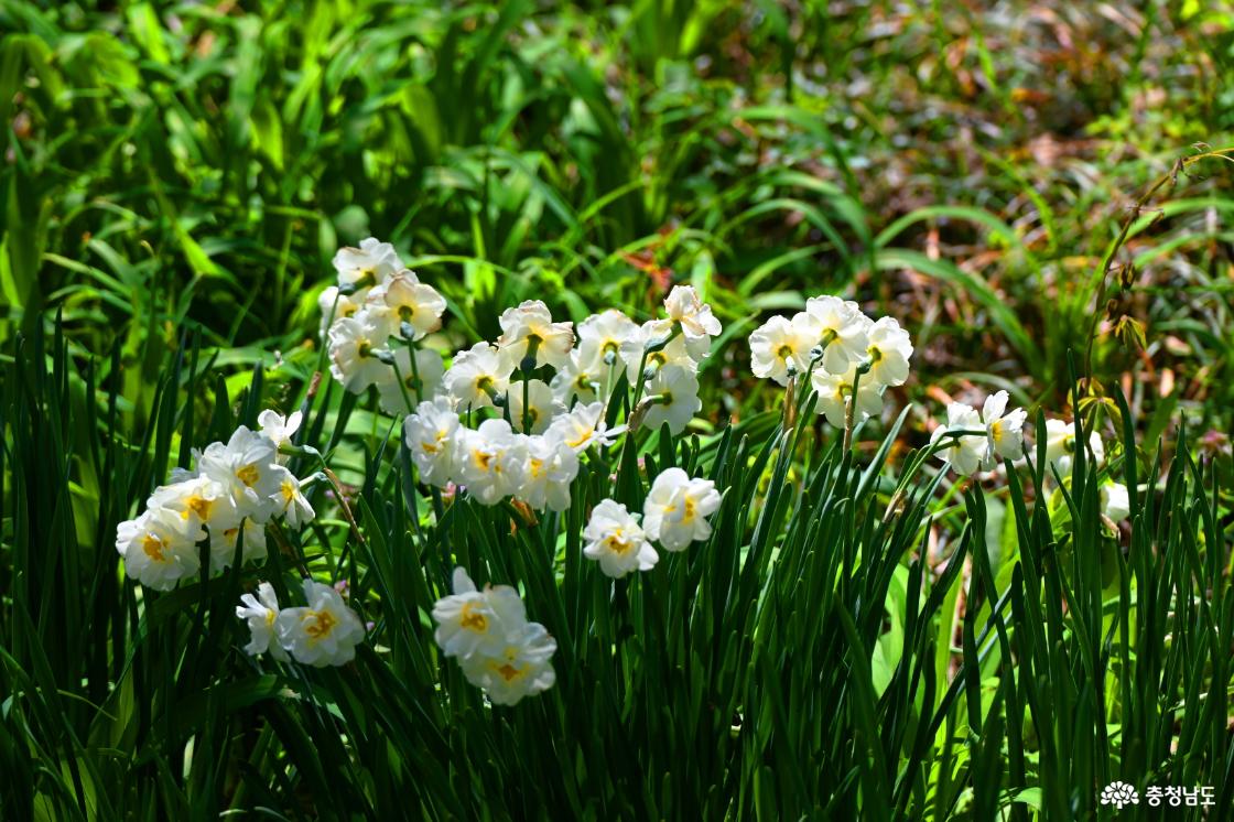 고운식물원