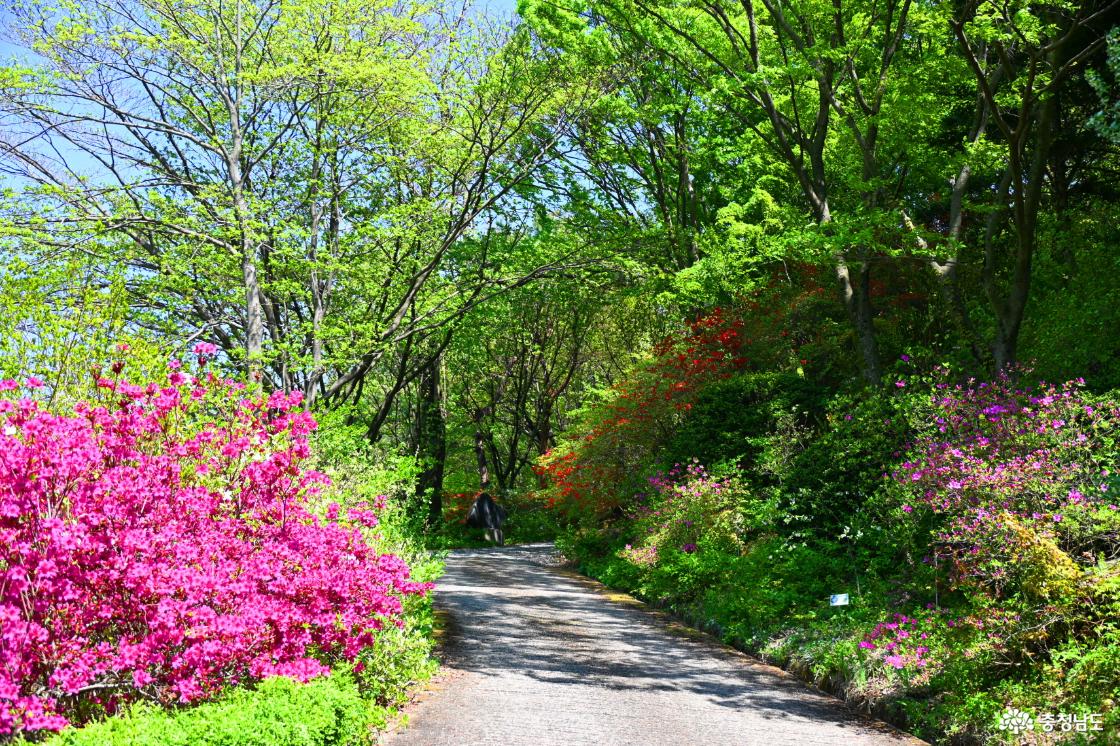 고운식물원