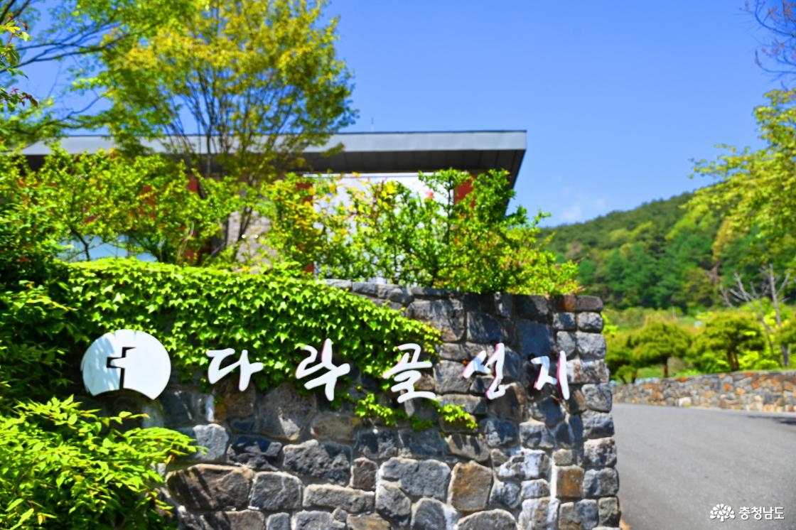 청양다락골줄무덤