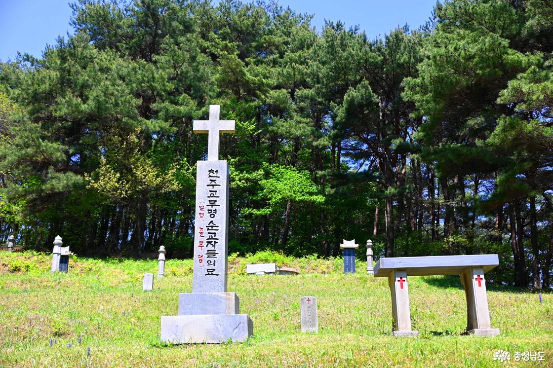 청양다락골줄무덤