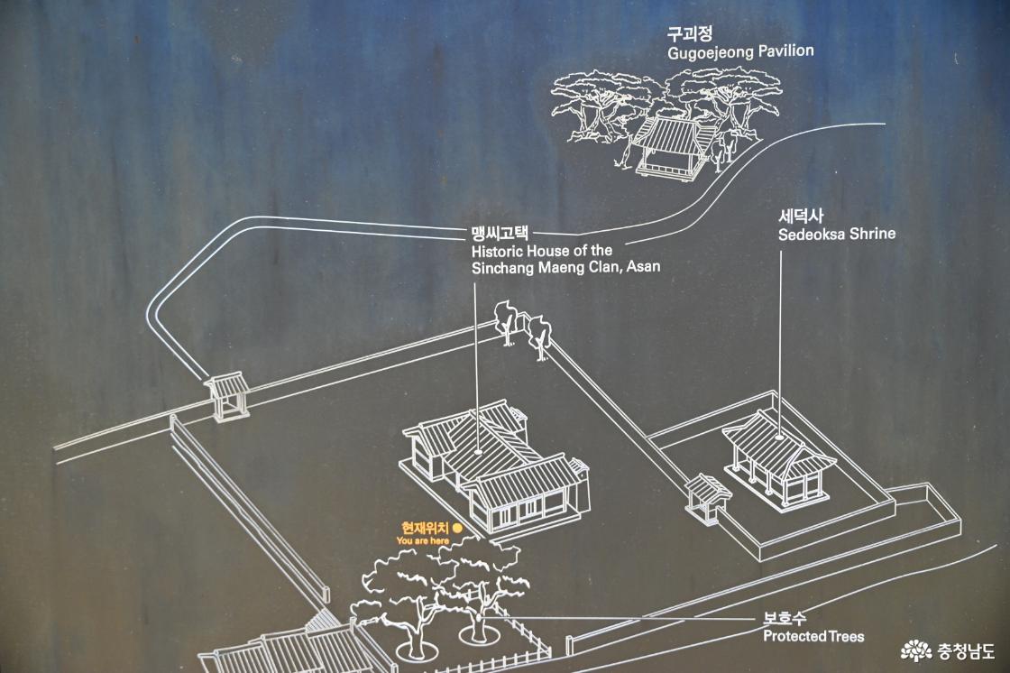 아산 맹씨행단
