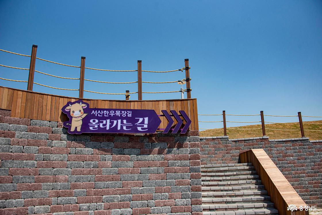 서산 한우목장길 올라가는 길