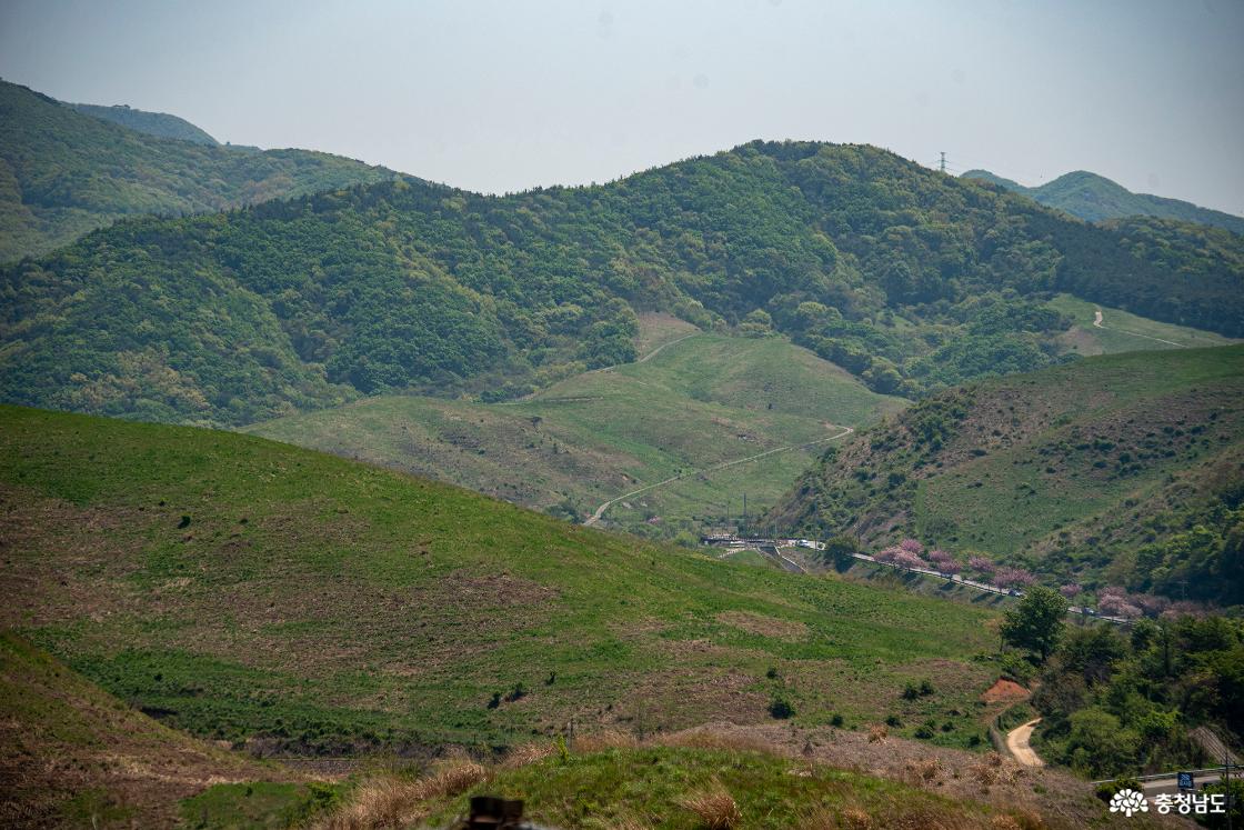 개심사로 향하는 길의 모습
