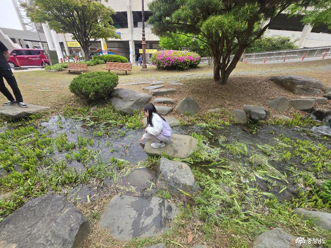 천안시민의숲
