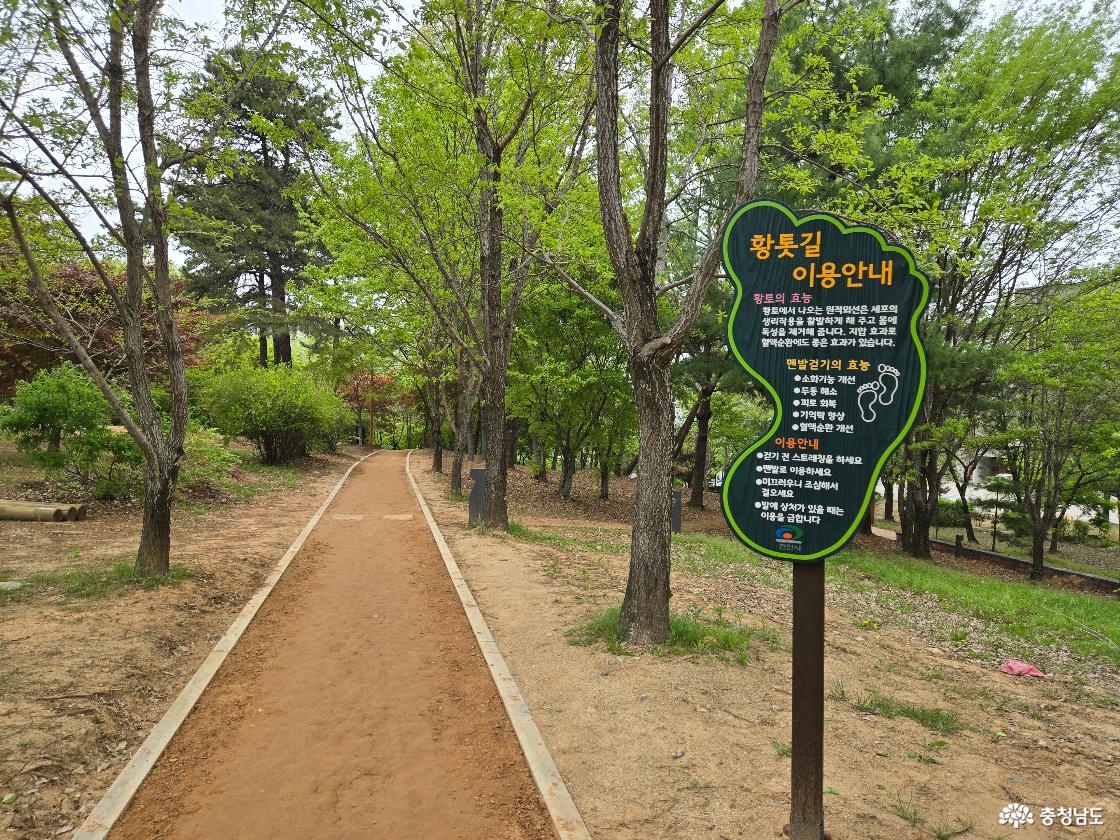 천안시민의숲
