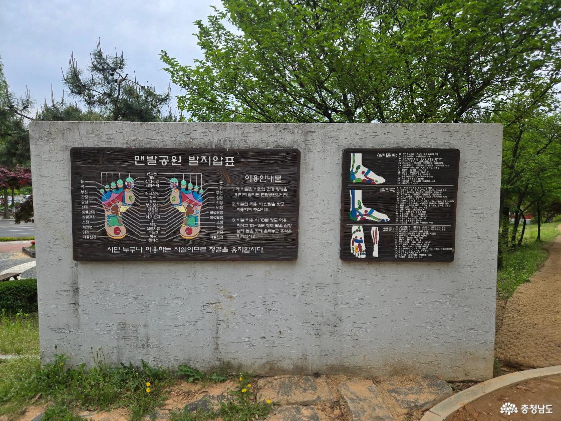 천안시민의숲