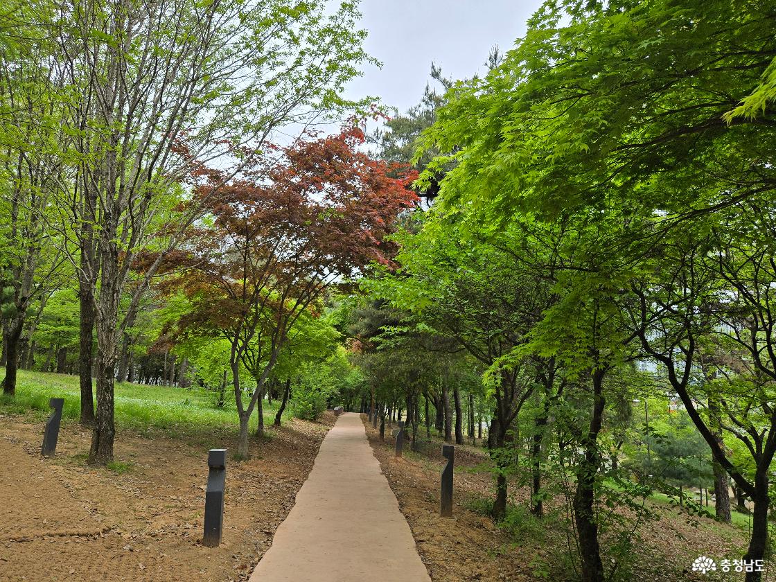 천안시민의숲