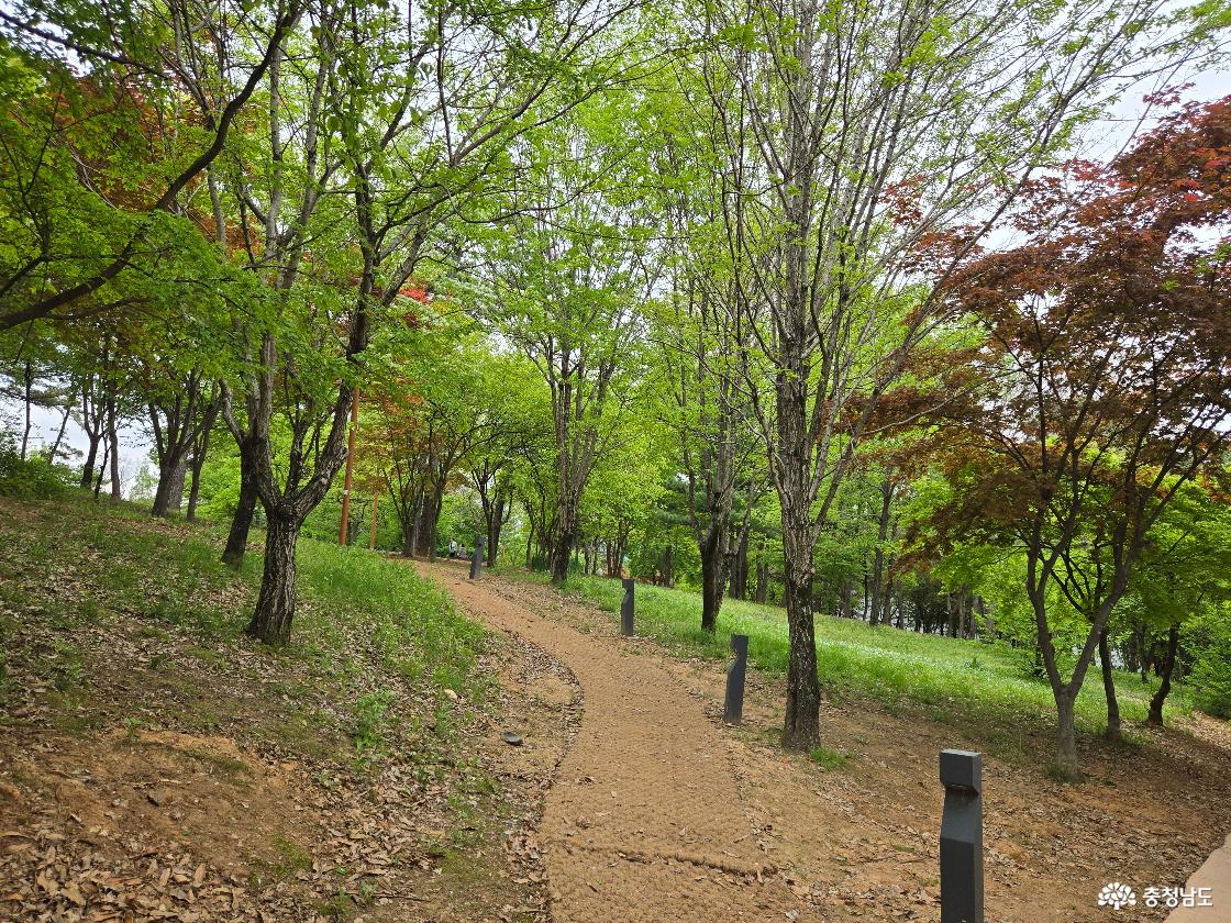 천안시민의숲