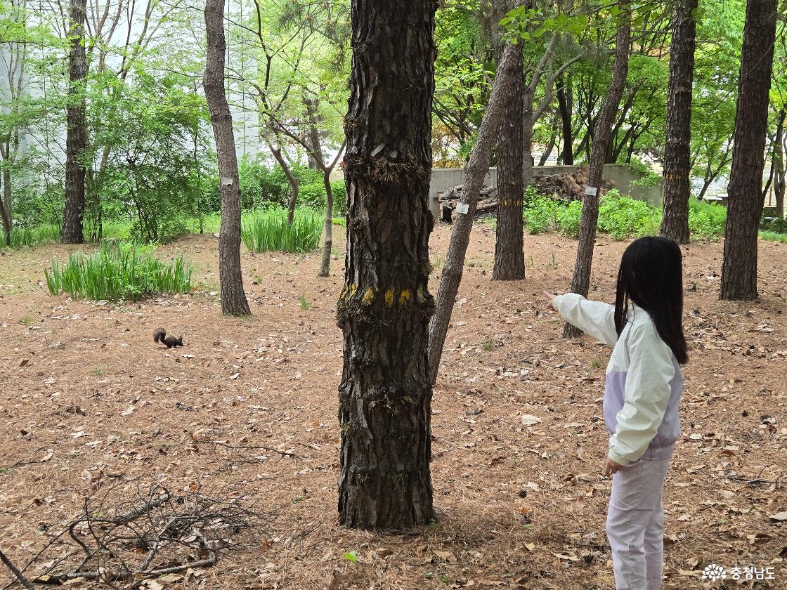 천안시민의숲