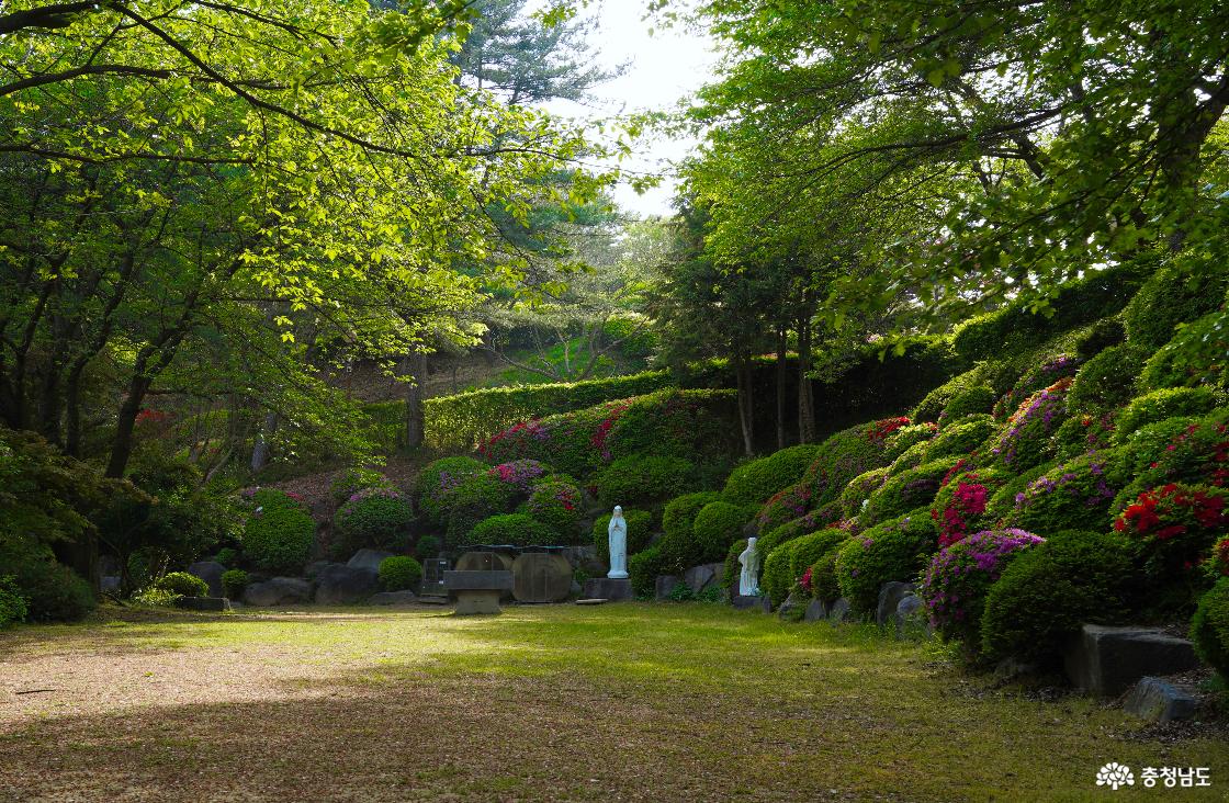 성모동산 전경