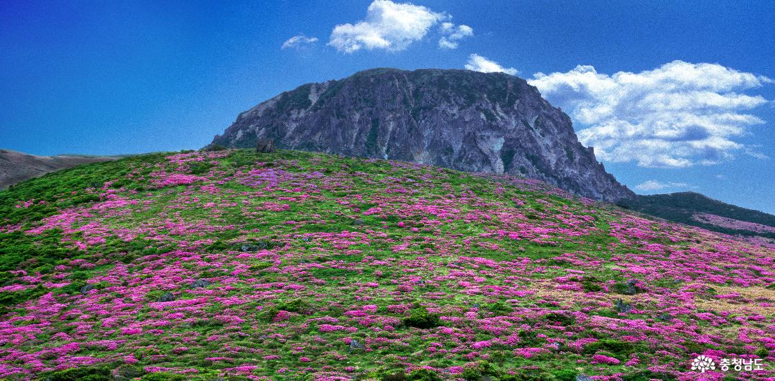 한용상 작가님의 '한라산