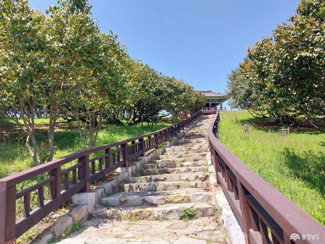 동백정으로 오르는 돌계단