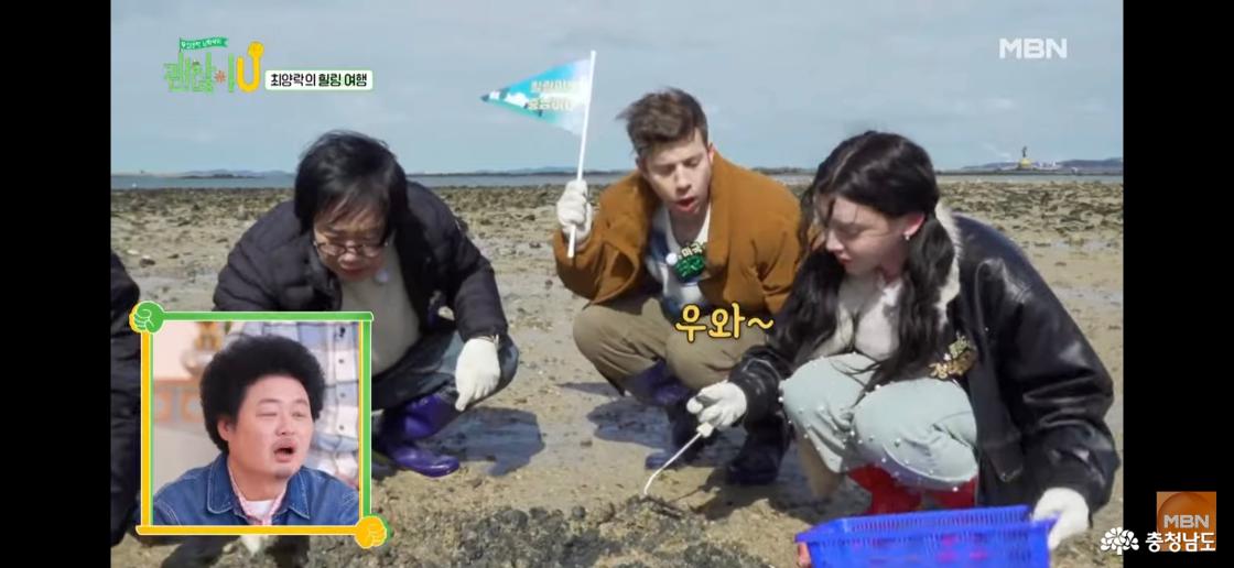 서산 갯벌 체험 장면 스크린샷