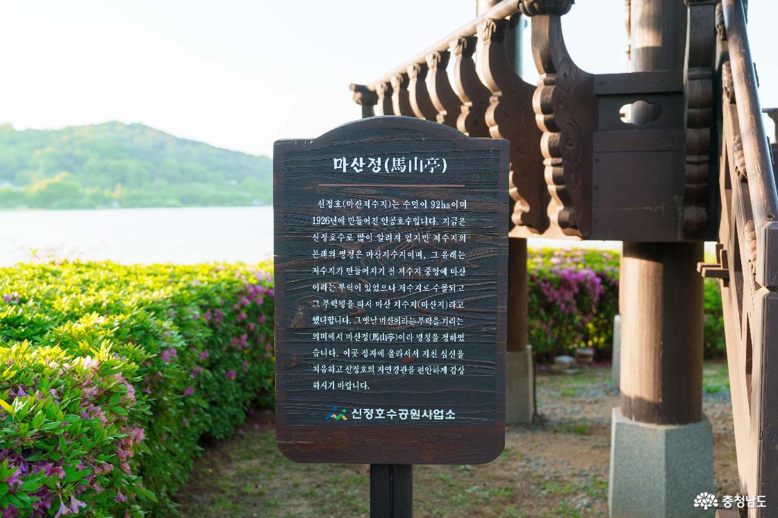 신정호 전경