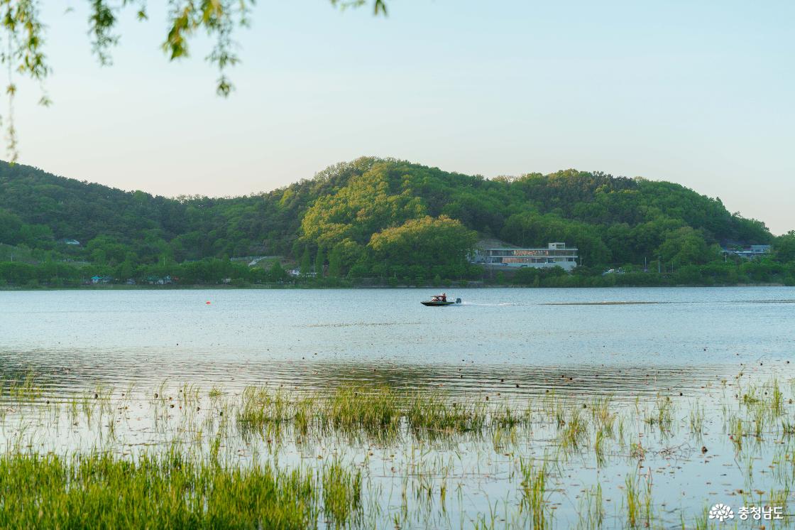 신정호 전경