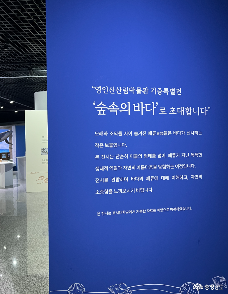 영인산자연휴양림 산림박물관 특별전 - 숲속의 바다