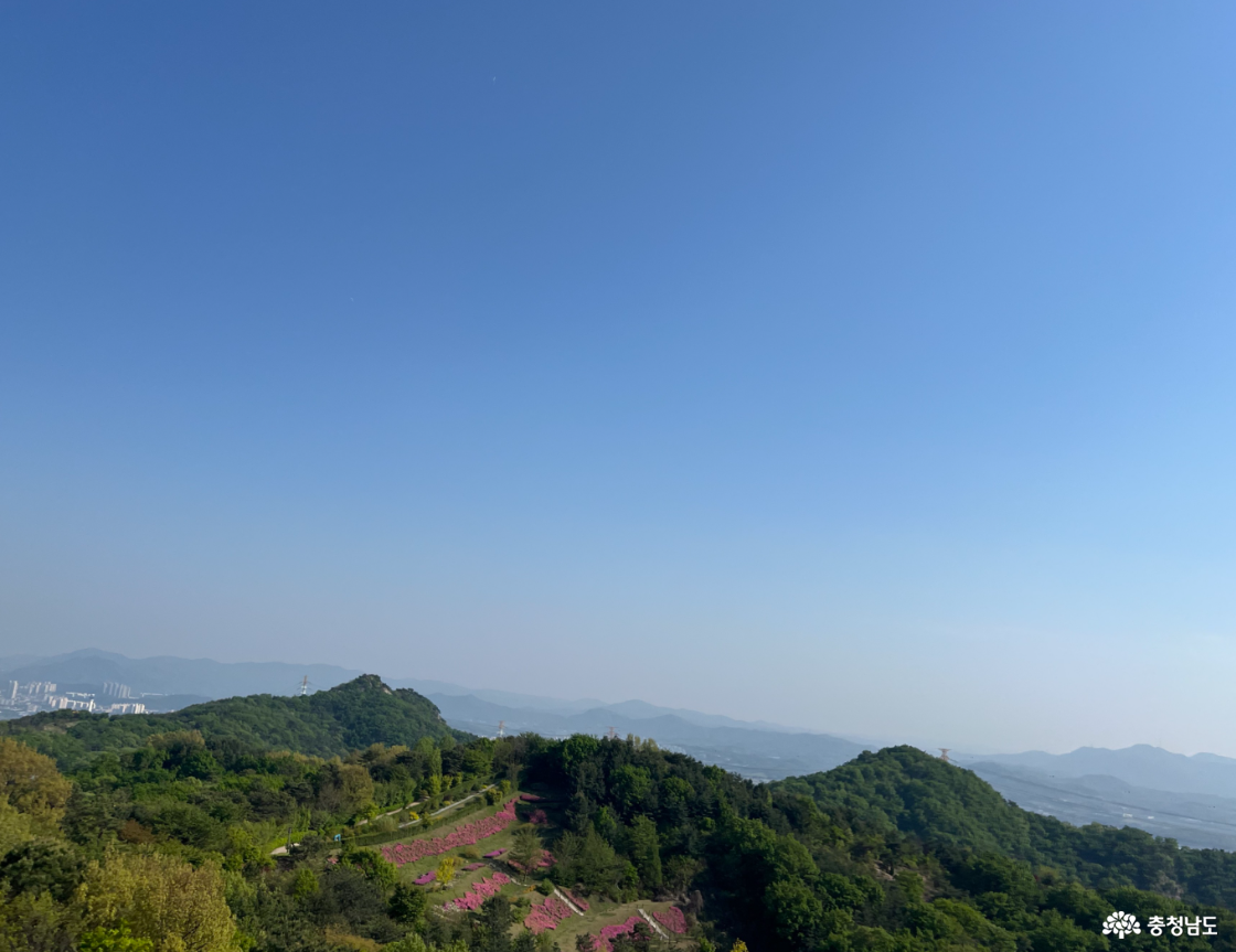 영인산자연휴양림 전망대 철쭉 전경