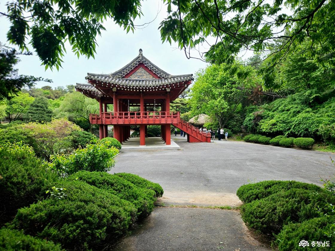 멀리서 정자