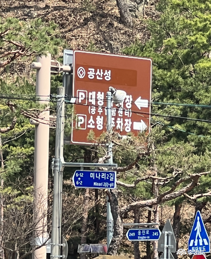 공산성 소형주차장 대형주차장 안내판 (길건너 마주보고 있음)