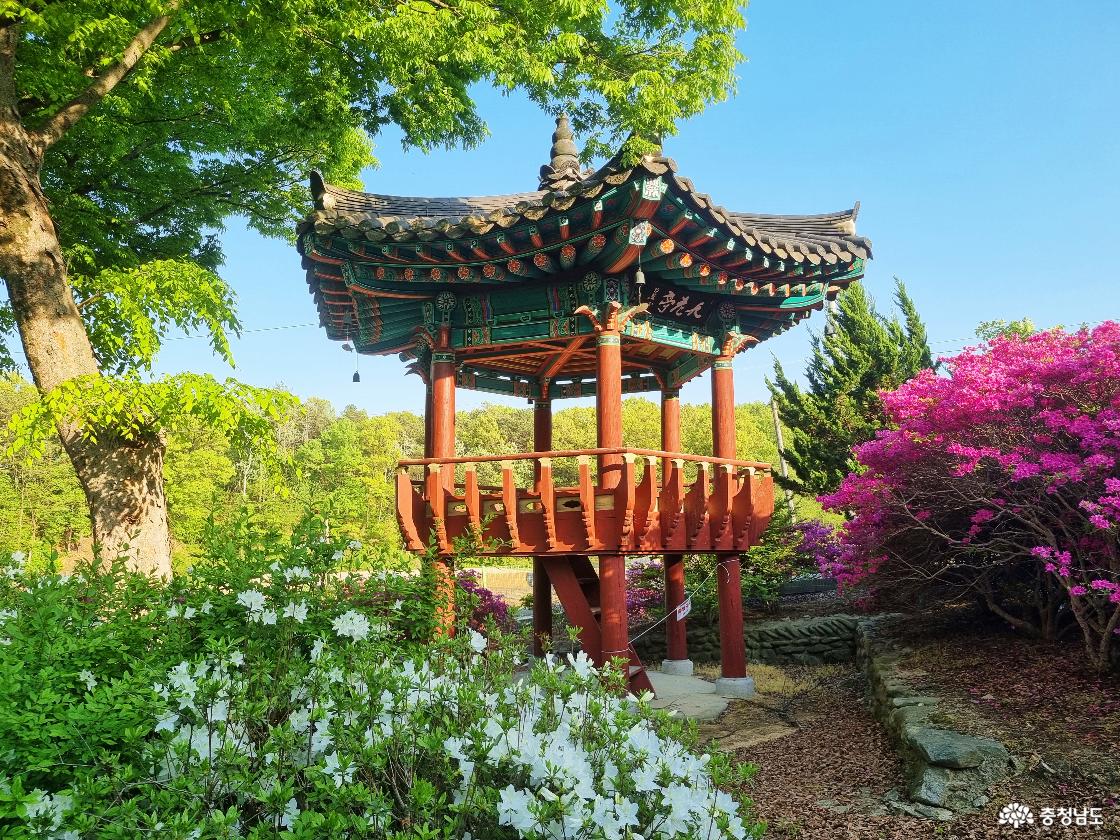 계룡 철쭉꽃 명소 사계고택