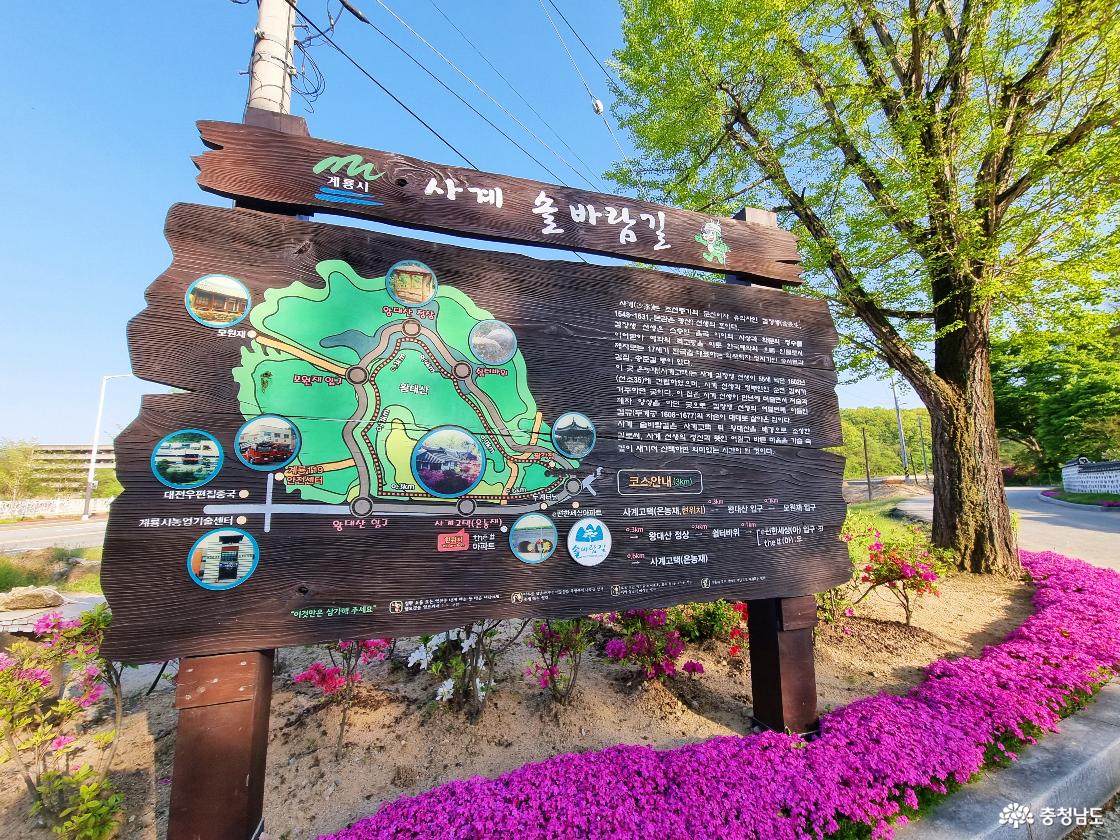 계룡 철쭉꽃 명소 사계고택 앞 솔바람길