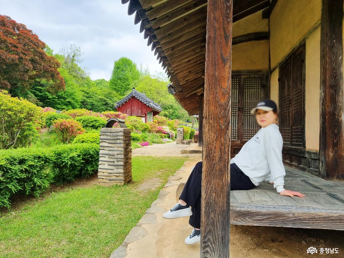계룡 철쭉꽃 명소 사계고택 - 후원