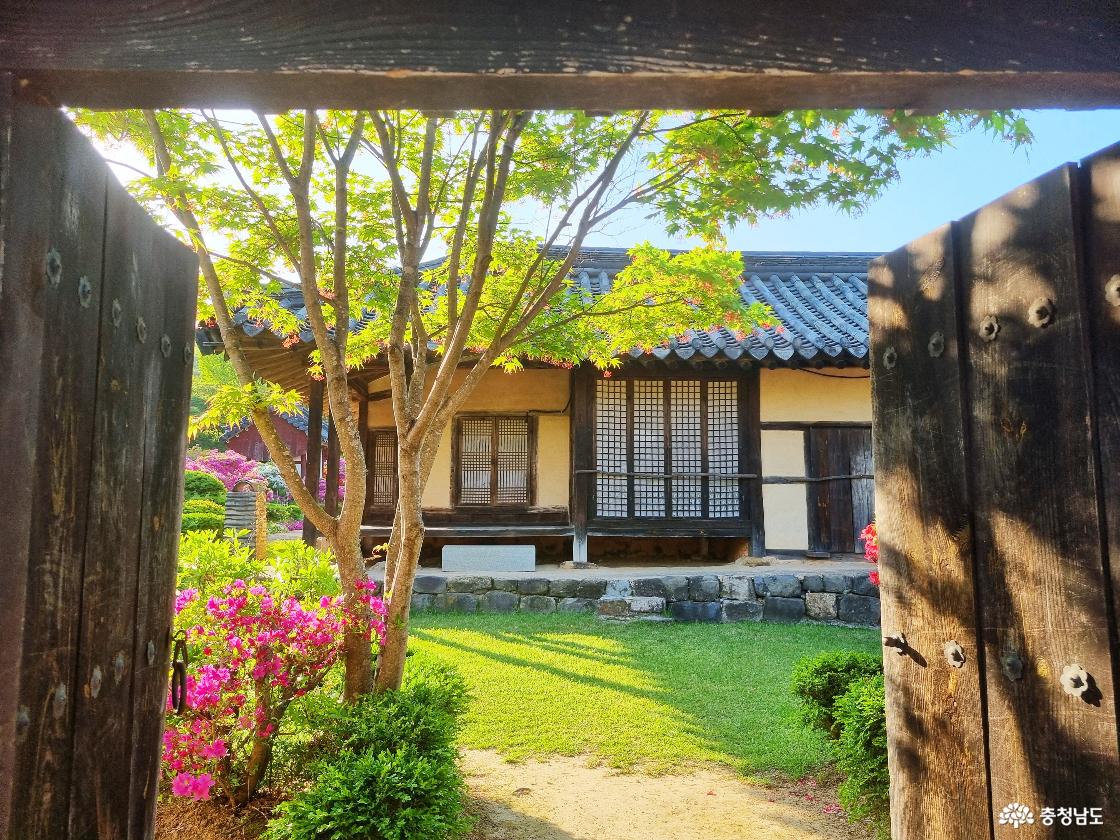계룡 철쭉꽃 명소 사계고택 - 후원