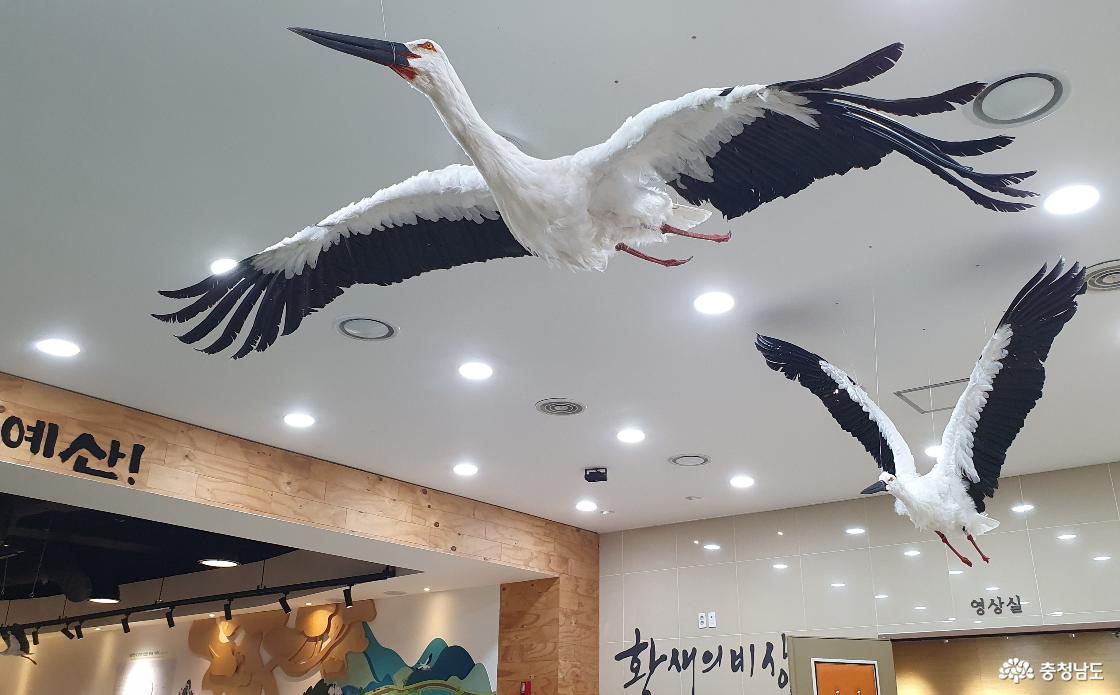 예산 황새문화관 관람안내