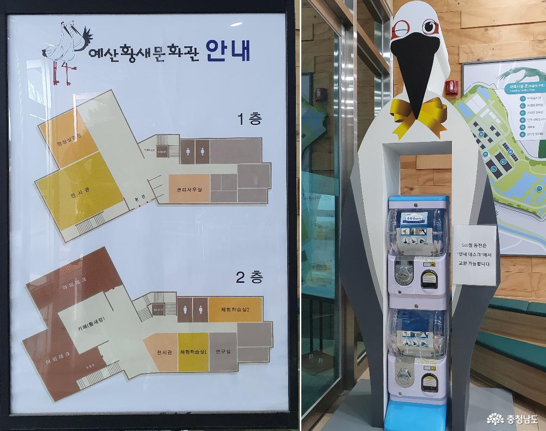 황새문화관 1층 로비 천장에 걸린 황새 박제