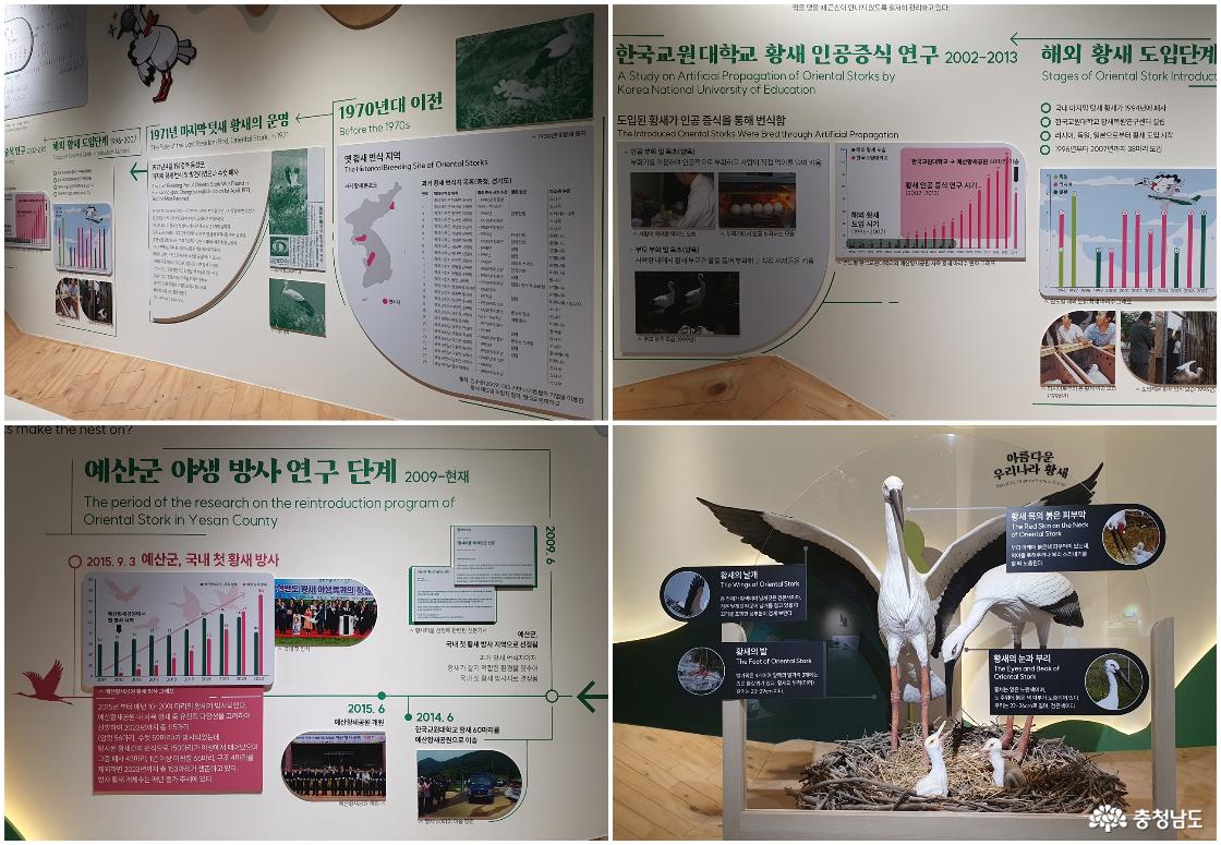 황새복원을 위한 연구 기록