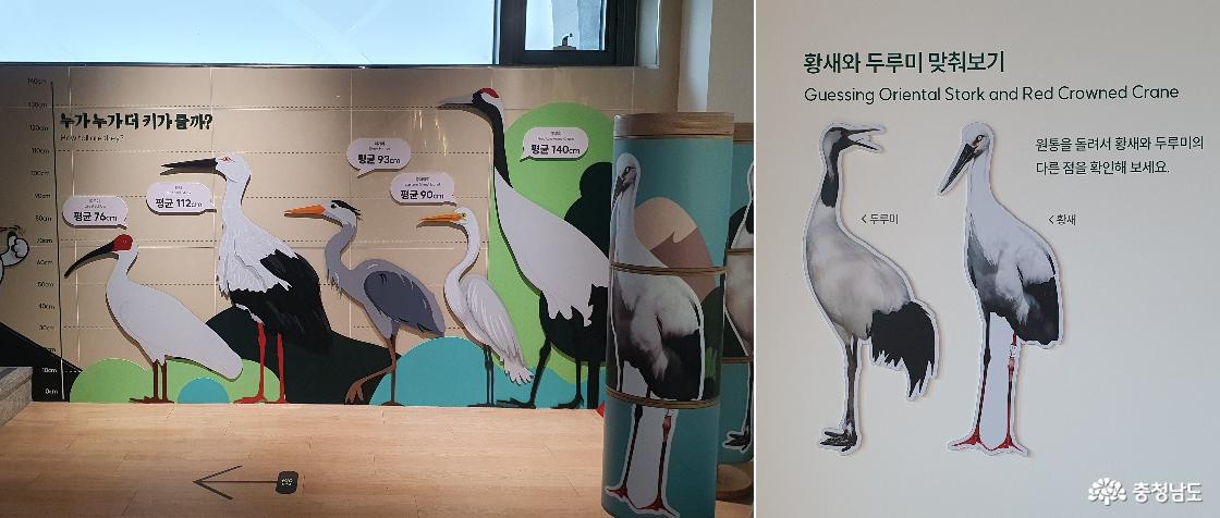 황새와 두루미 구분하기