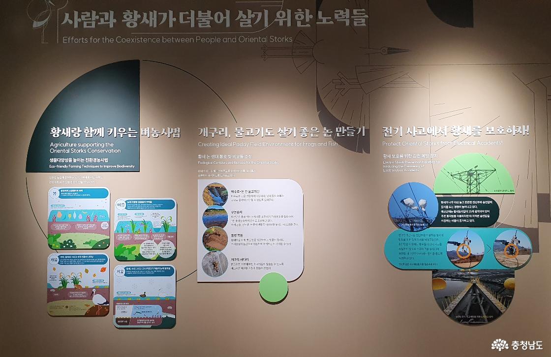 사람과 황새가 더불어 살기 위한 노력들