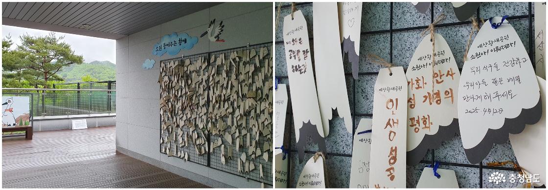 소원 들어주는 황새, 소원지 걸기