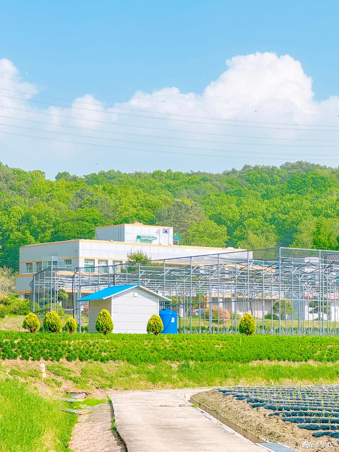 충청남도농업기술원