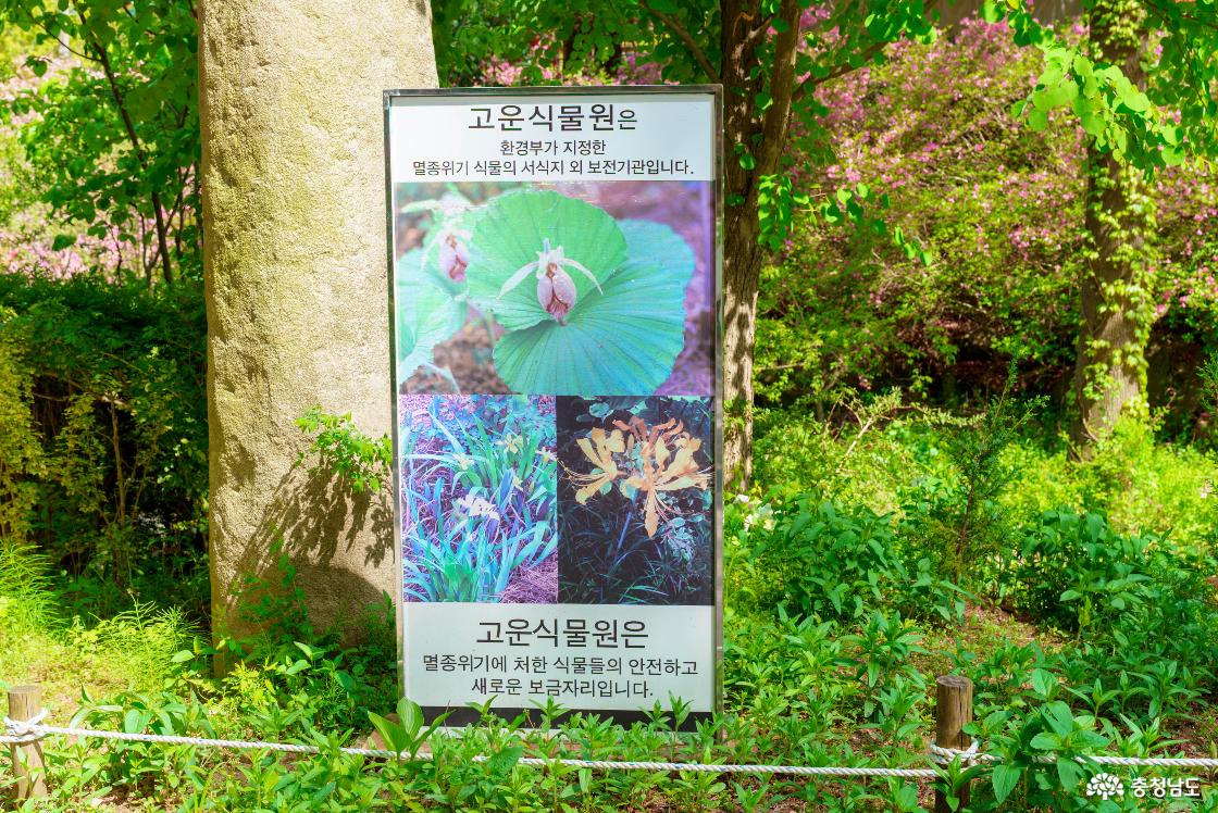 멸종위기 식물의 서식지 외 보전기관