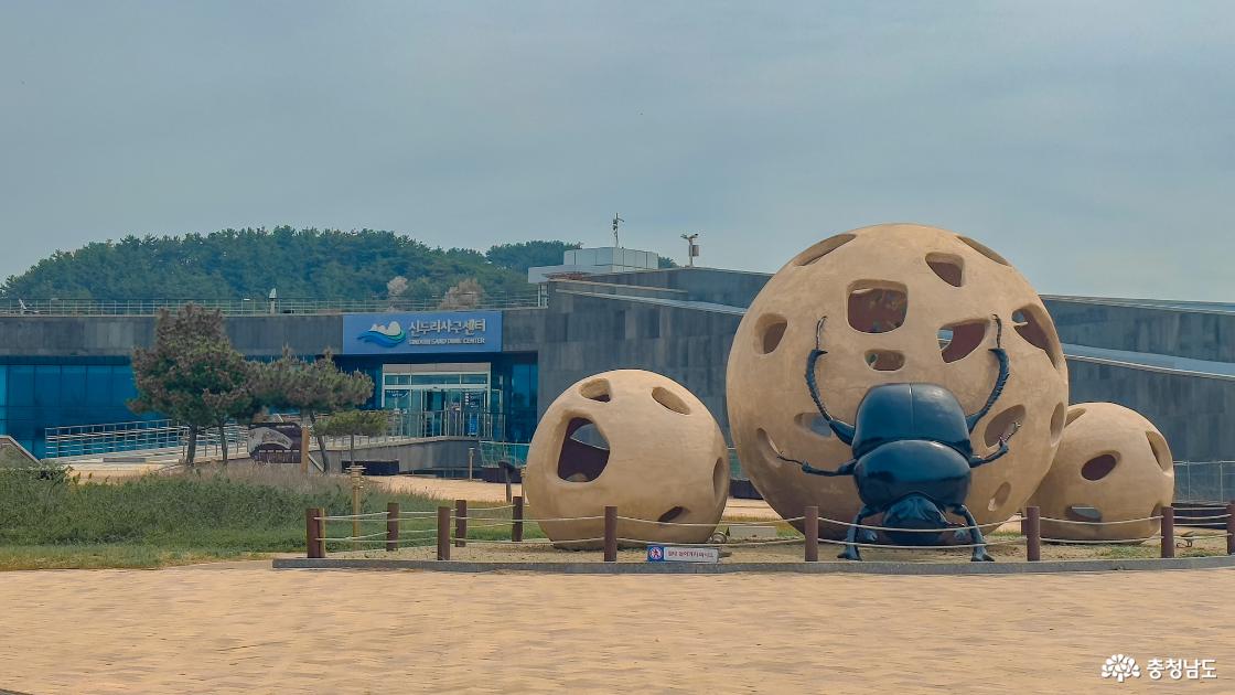 신두리 해안사구 센터 야외 쇠똥구리 조형물 