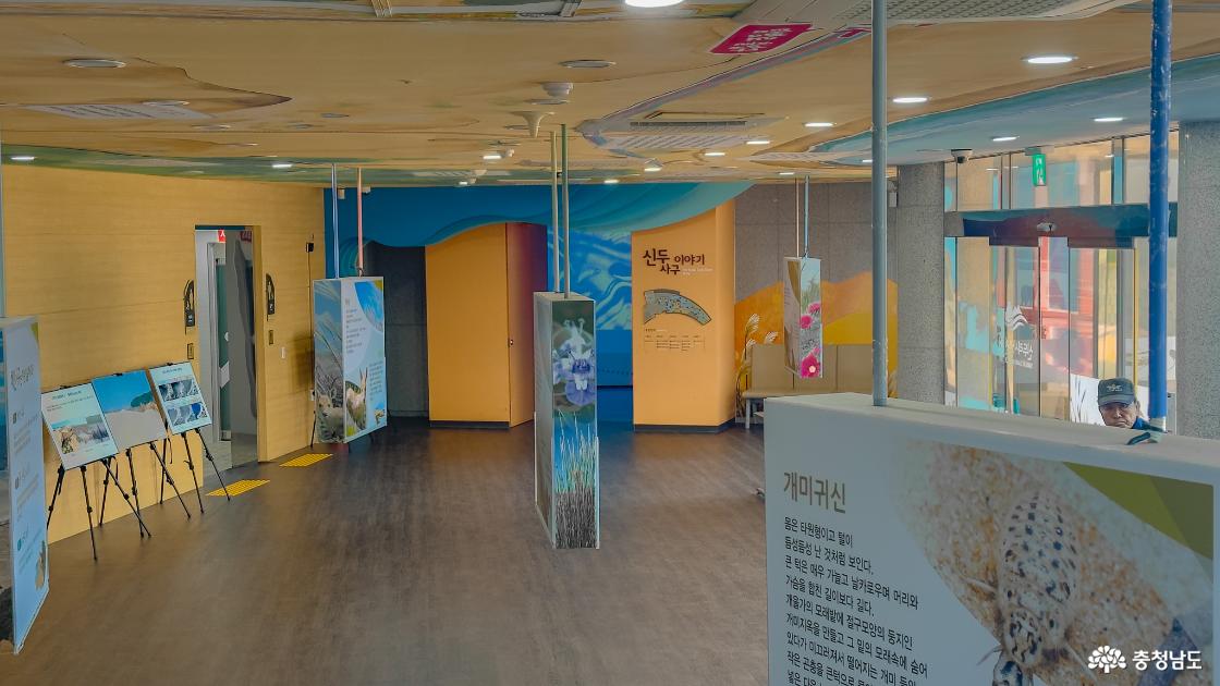 신두리 해안사구 센터 상설전시 
