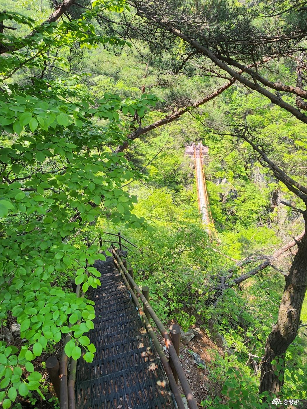군지 구름다리가 내려다 보인다.