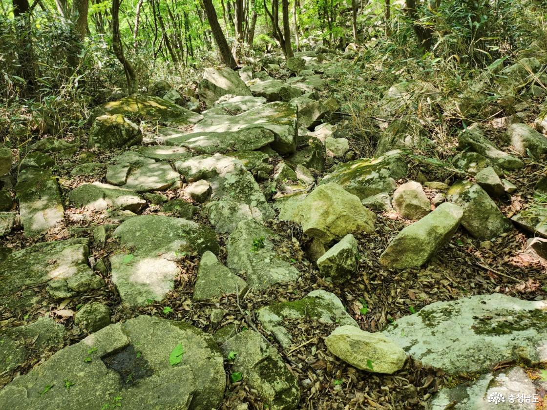 돌 산의 돌 길